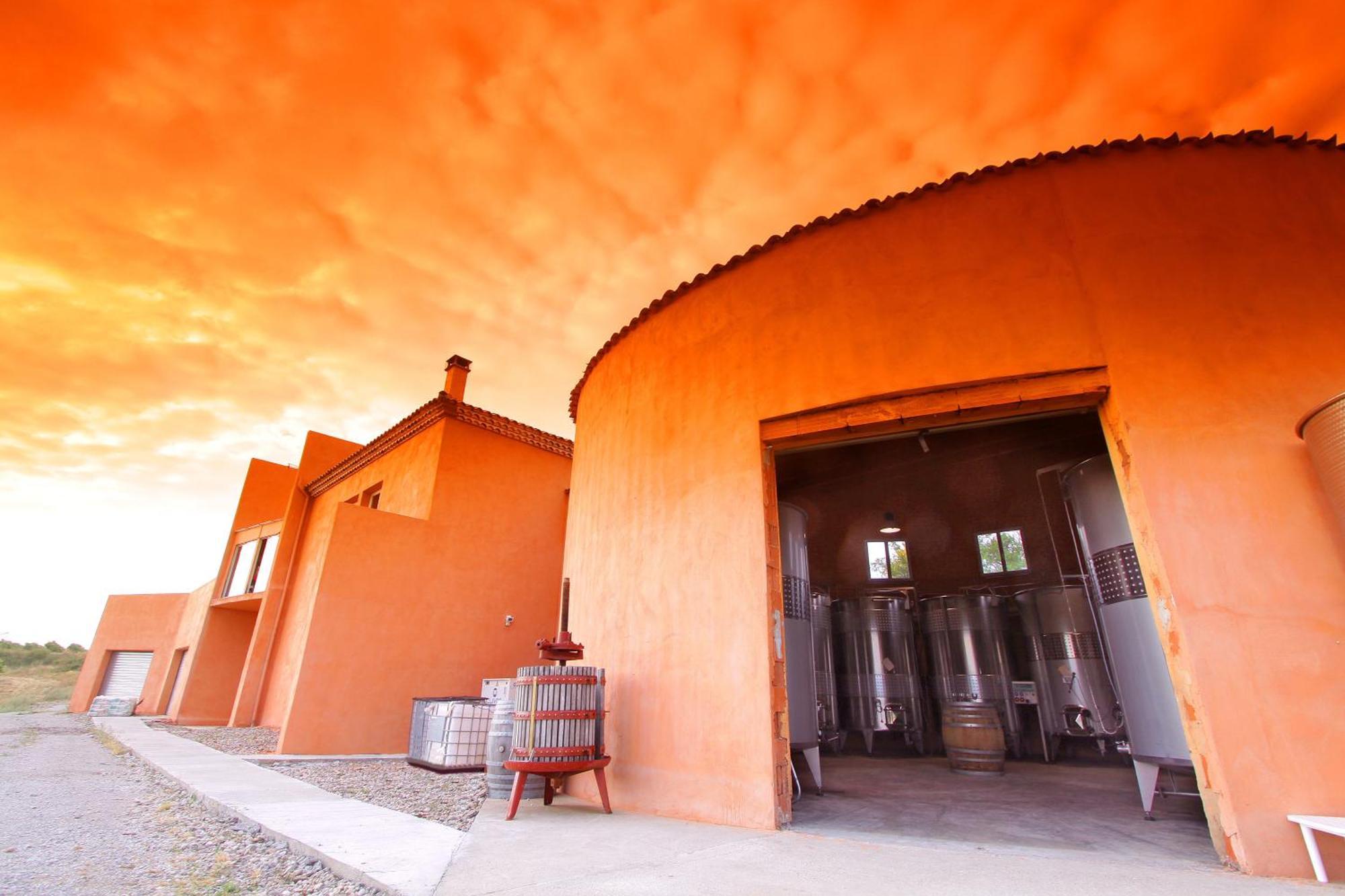 O'Vineyards B&B Carcassonne Villemoustaussou Exterior photo