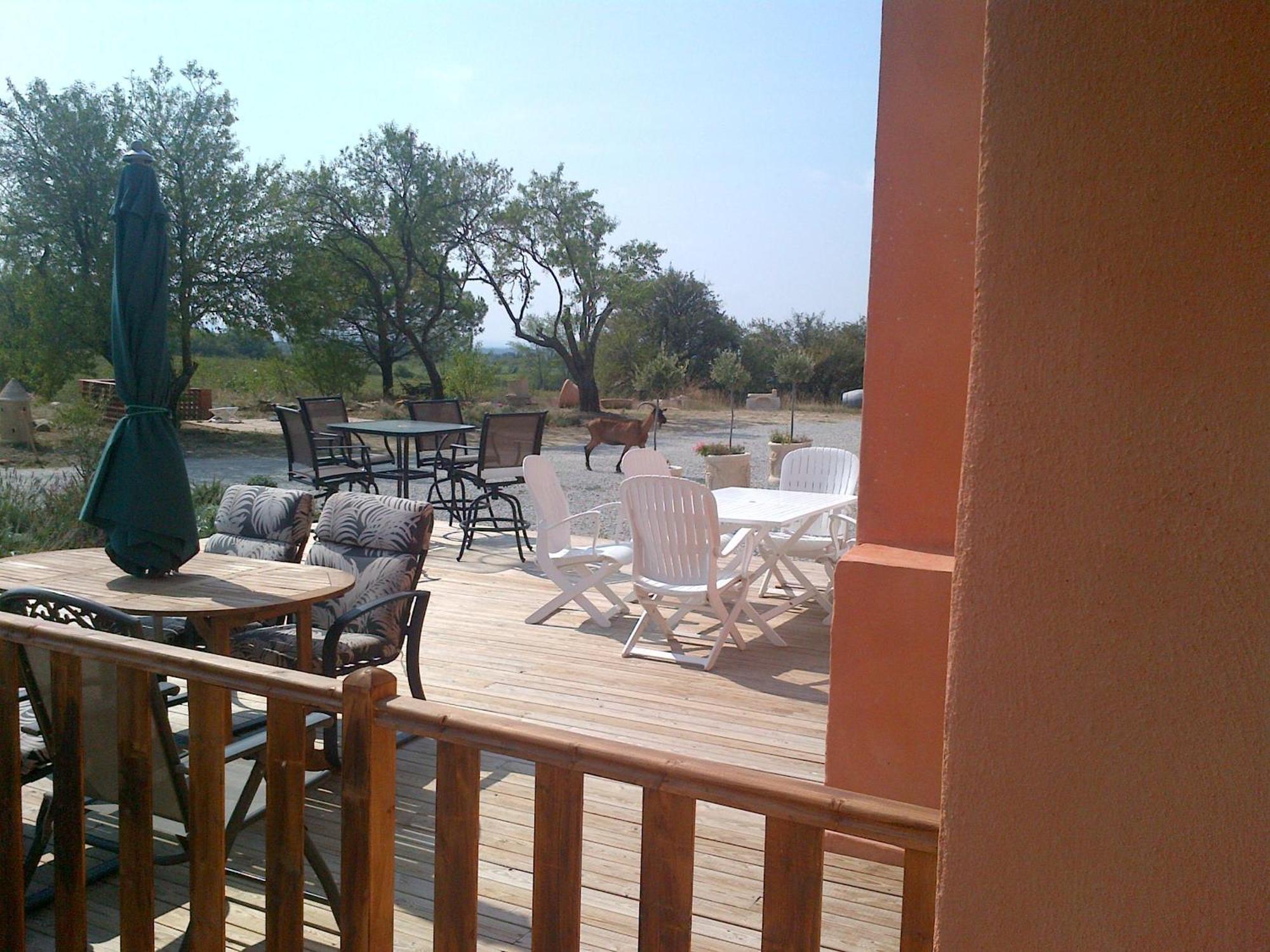 O'Vineyards B&B Carcassonne Villemoustaussou Exterior photo