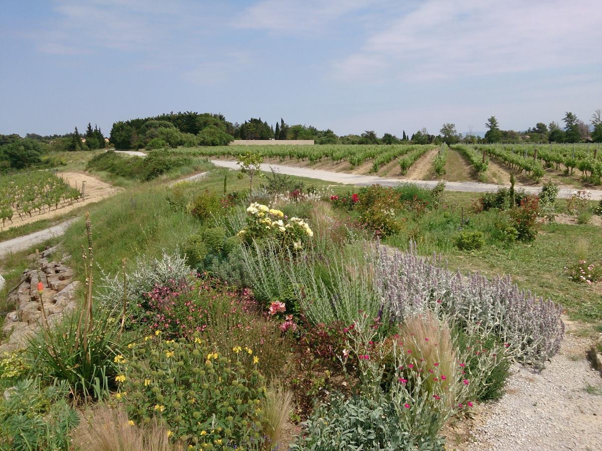 O'Vineyards B&B Carcassonne Villemoustaussou Room photo